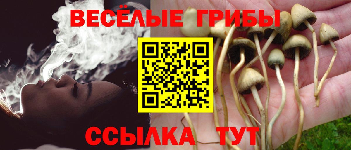 Галлюциногенные грибы мухоморы Саянск