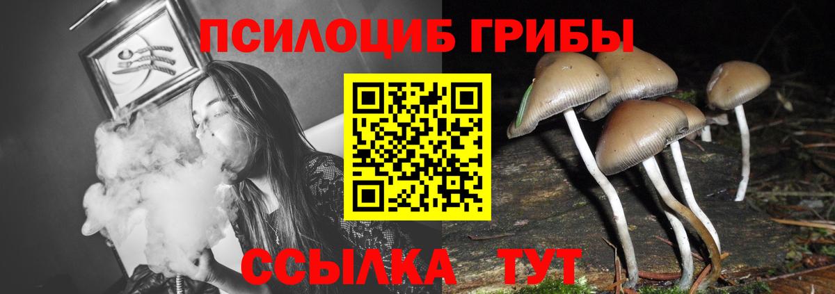 Псилоцибиновые грибы GOLDEN TEACHER  Псилоцибиновые грибы мицелий  наркошоп  Вход с VPN  Саянск 